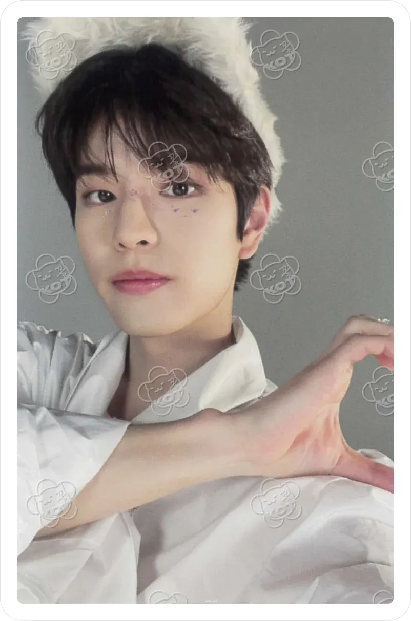 Фотокарта Stray Kids - Seungmin
