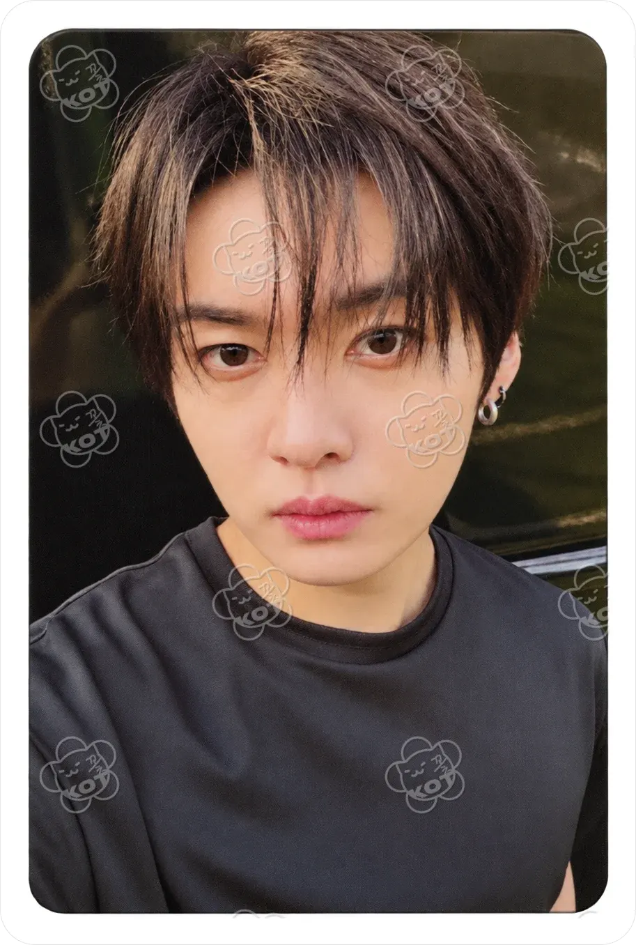 Фотокарта Lee Know - Stray Kids