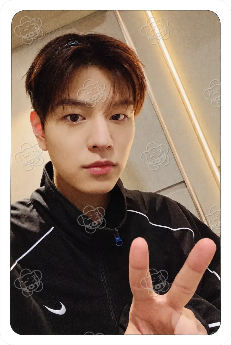 Фотокарта Seungmin - Stray Kids