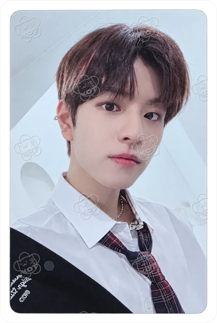 Фотокарта Seungmin - Stray Kids