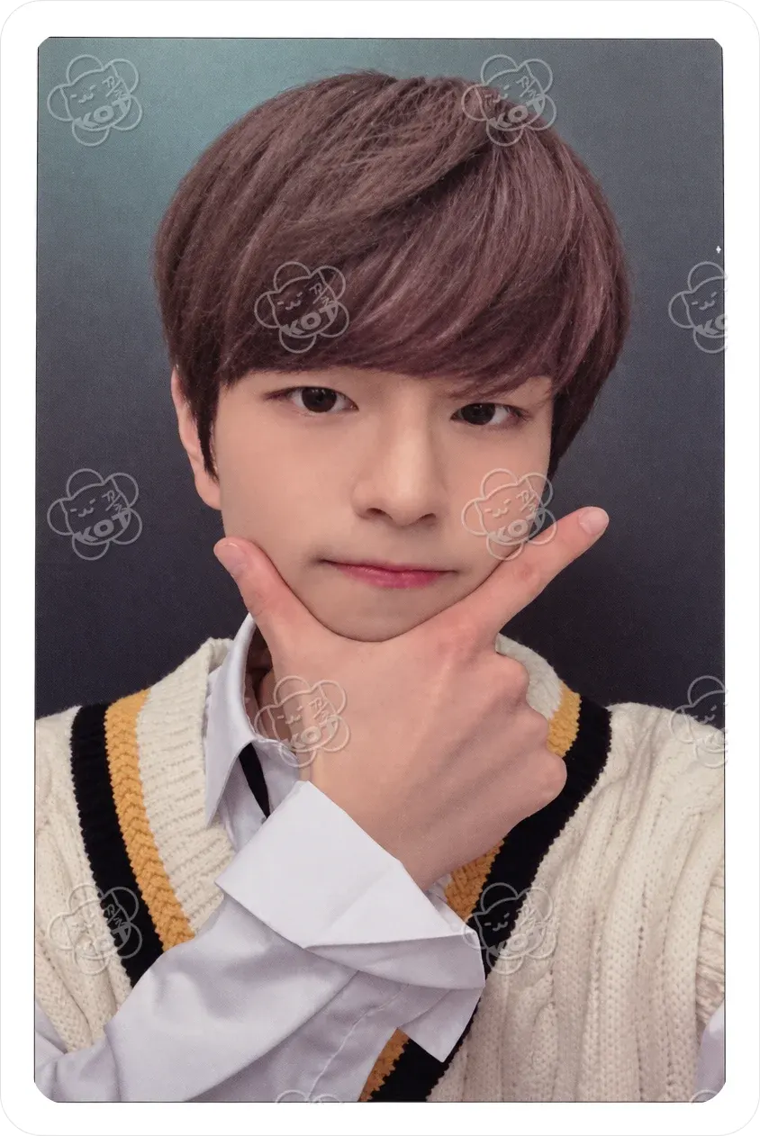 Фотокарта Seungmin - Stray Kids