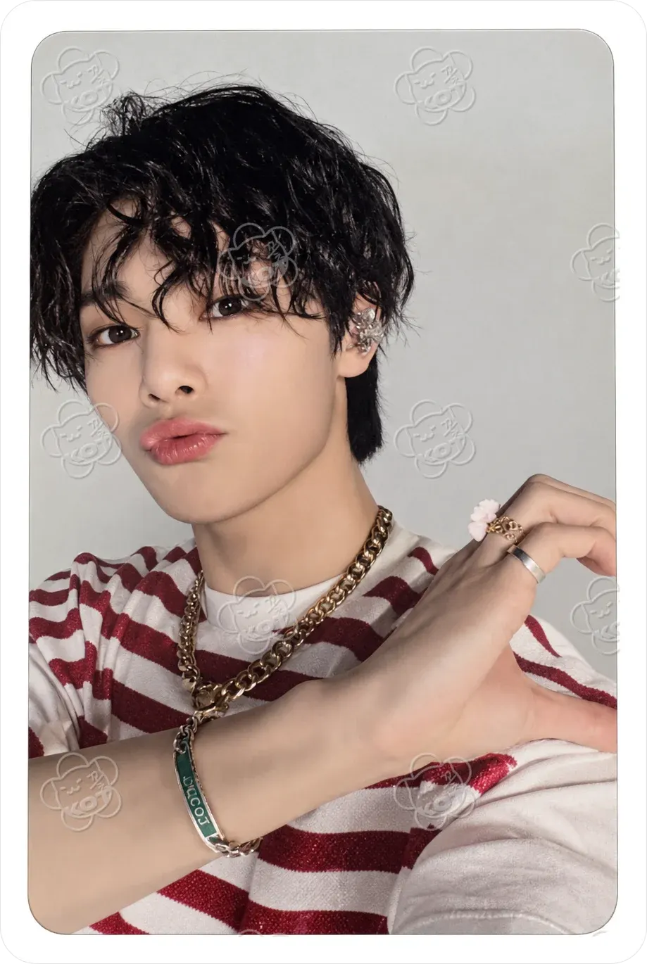 Фотокарта I.N - Stray Kids