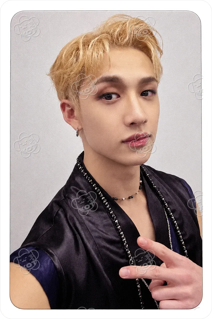 Фотокарта Bangchan - Stray Kids